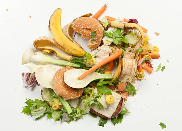 From Plate to Purpose: A Guide to Food Waste Management*